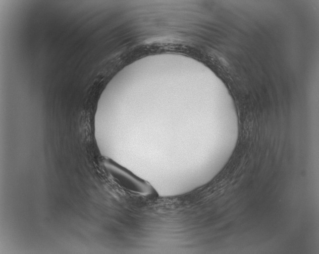 X0000071941062200608041521