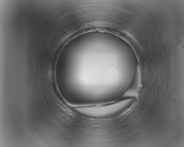 X0000071941065200608041521