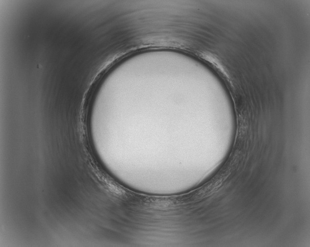 X0000071941071200608041521