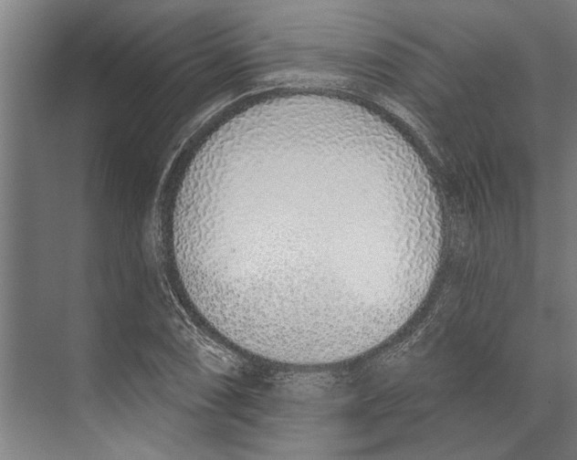 X0000071941074200608041521