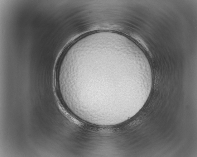 X0000071941080200608041521