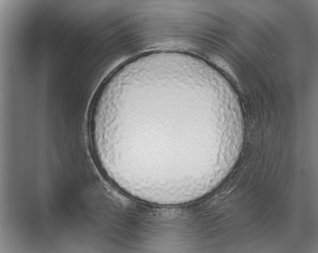X0000071941087200608041521