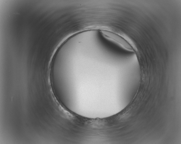 X0000071941102200608041520