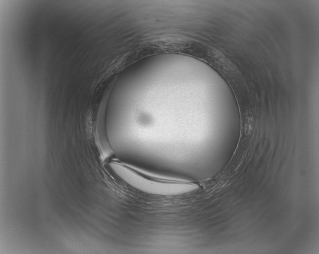 X0000071941108200608041520
