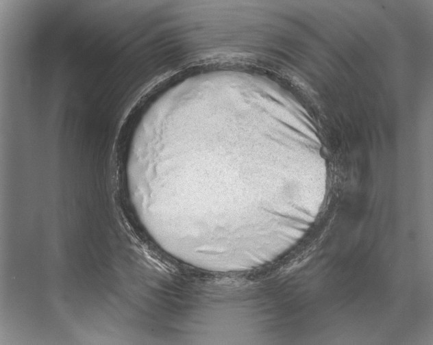 X0000071941117200608041520