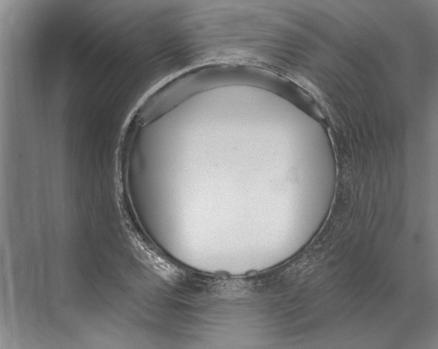 X0000071941120200608041520