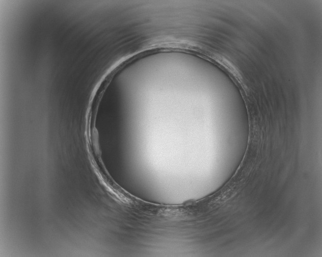 X0000071941128200608041520
