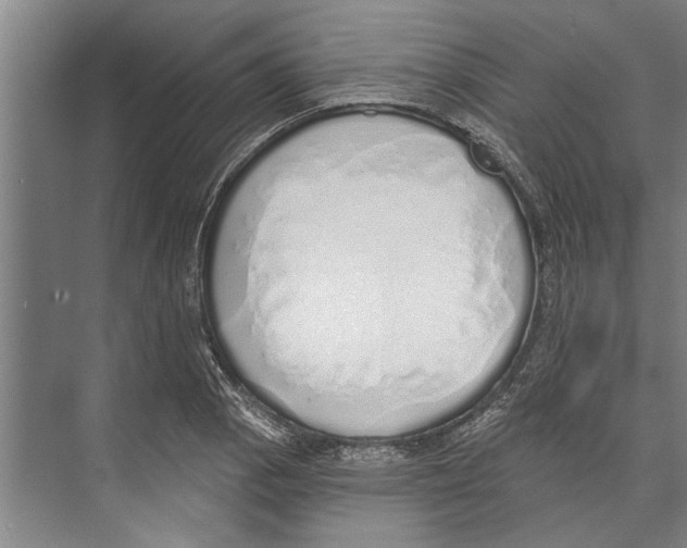 X0000071941129200608041520