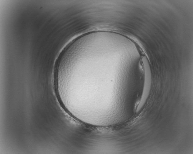 X0000071941147200608041520