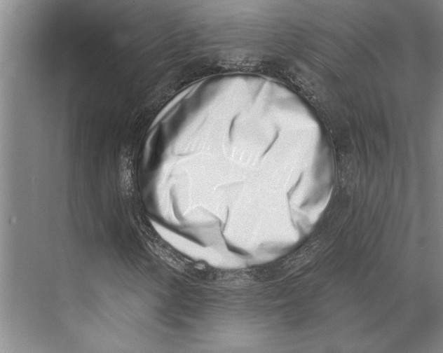 X0000071941154200608041519
