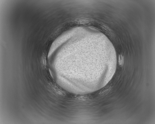 X0000071941155200608041519