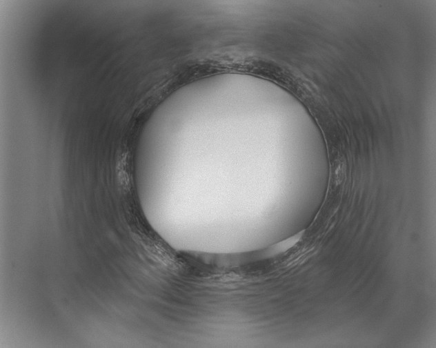 X0000071941156200608041519
