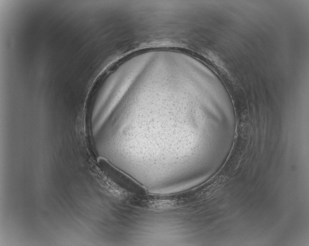 X0000071941173200608041519