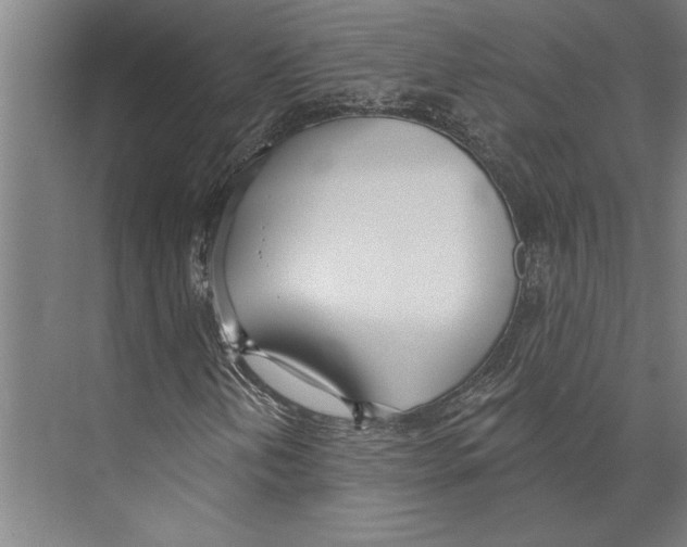 X0000071941202200608041518