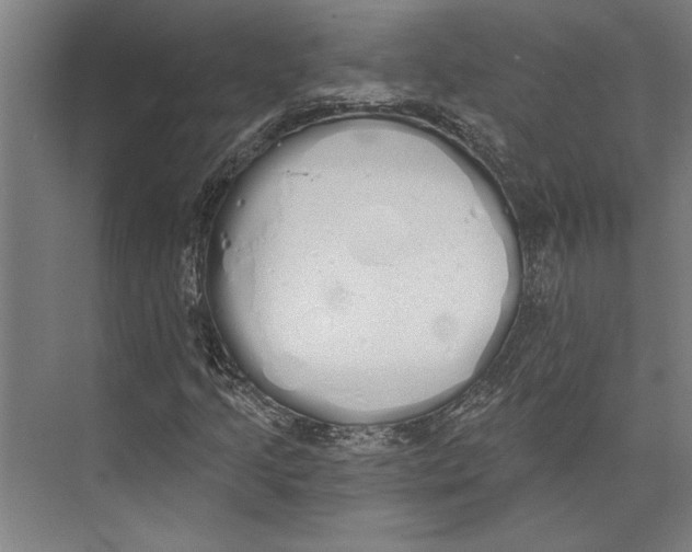 X0000071941205200608041518