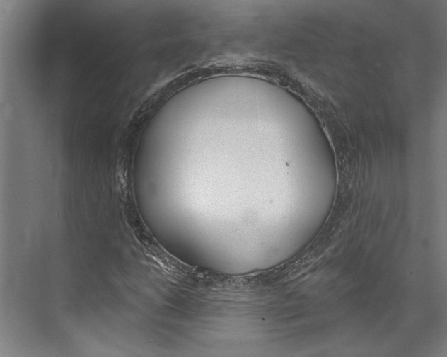 X0000071941206200608041518