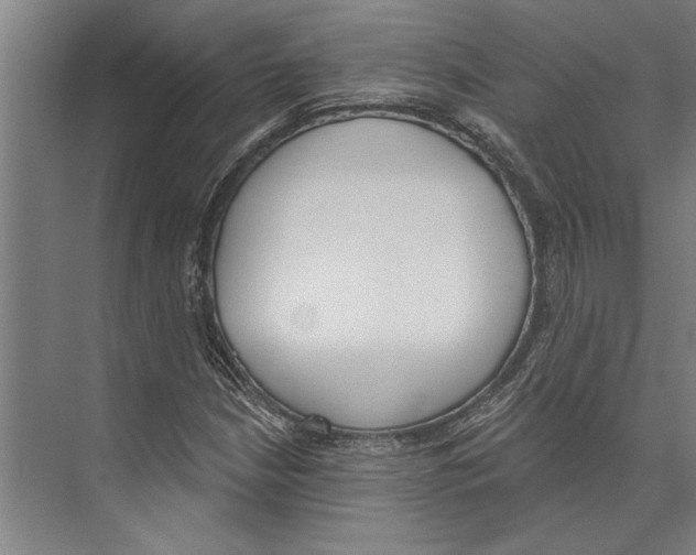 X0000071941210200608041518