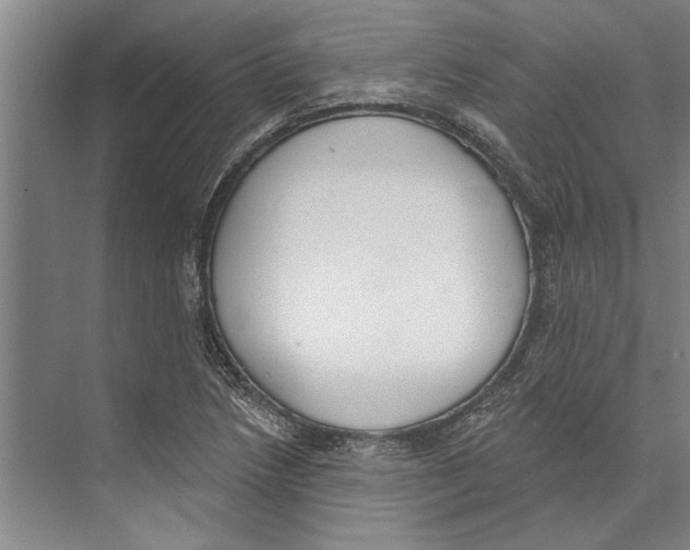 X0000071941218200608041518