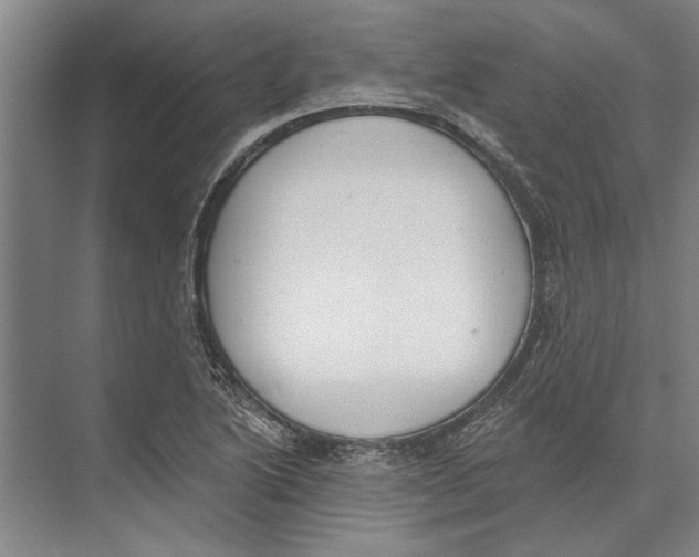 X0000071941222200608041518