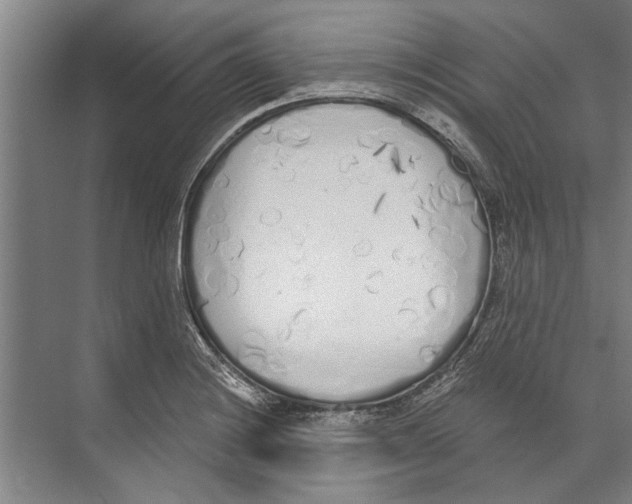X0000071941228200608041518