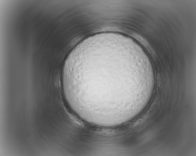 X0000071941241200608041519
