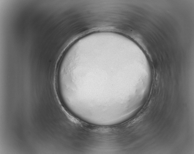 X0000071941245200608041519