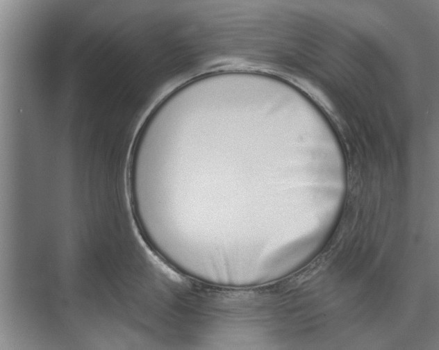 X0000071941247200608041519