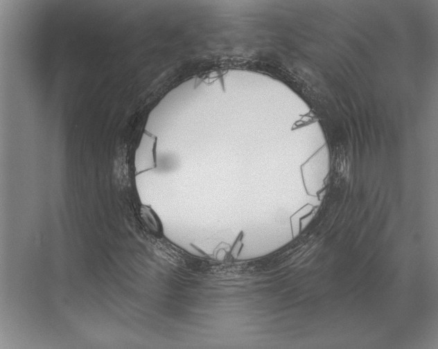 X0000071941252200608041518