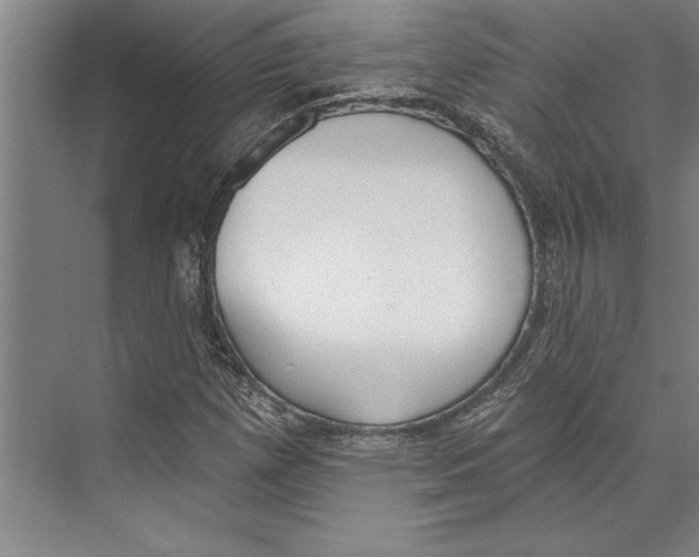 X0000071941257200608041518