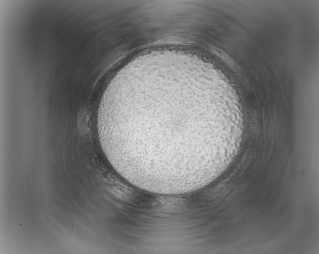 X0000071941258200608041518