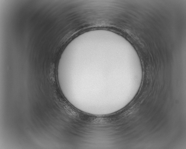 X0000071941265200608041518