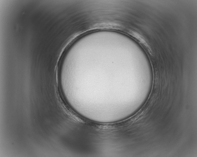 X0000071941275200608041517