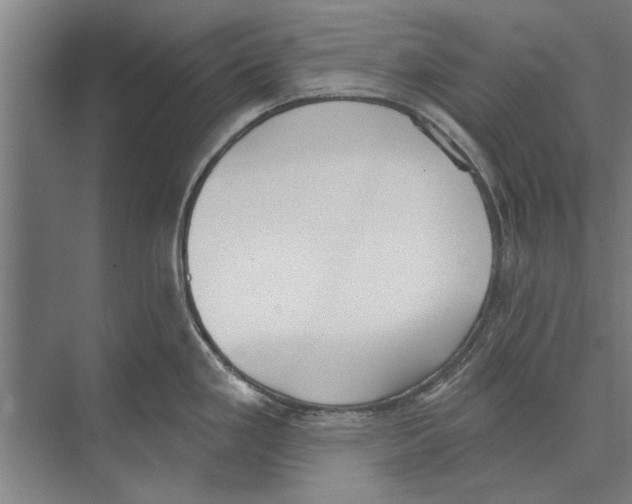 X0000071941293200608041517