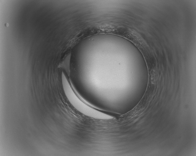 X0000071941298200608041516