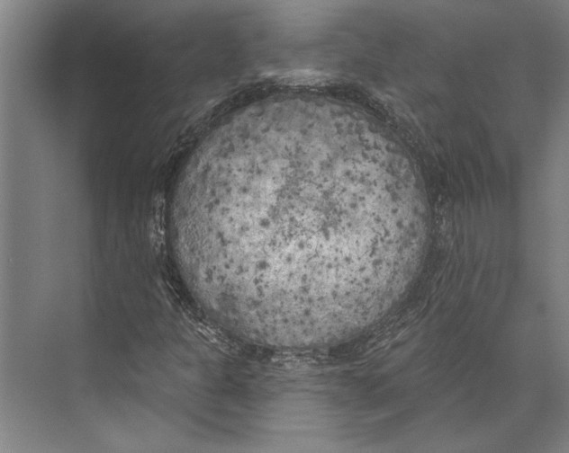 X0000071941301200608041516