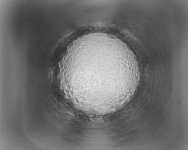 X0000071941302200608041516