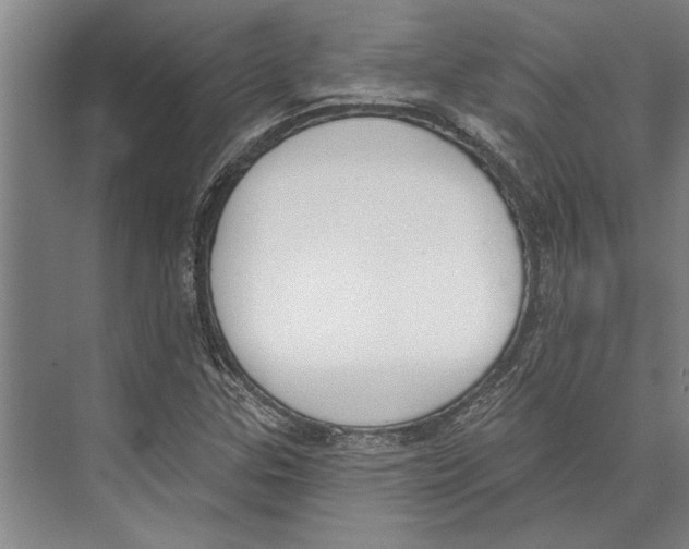 X0000071941307200608041516