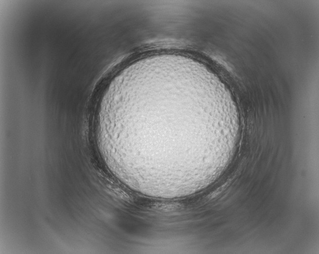 X0000071941309200608041516
