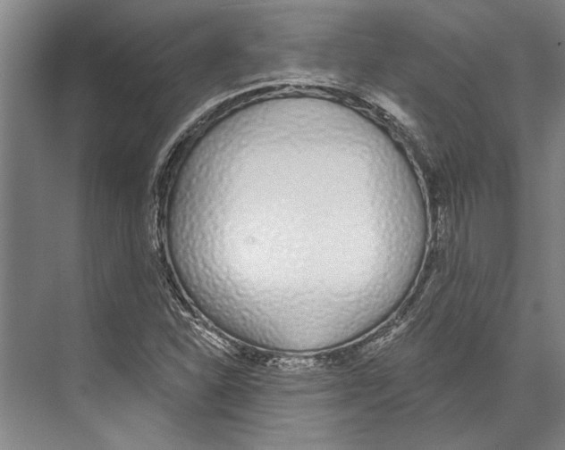 X0000071941310200608041516