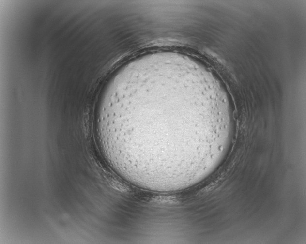 X0000071941313200608041516