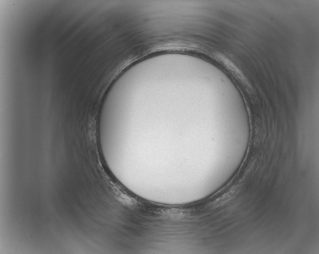 X0000071941329200608041517