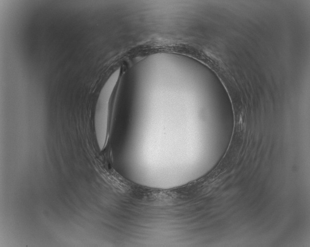 X0000071941348200608041516