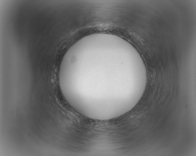 X0000071941349200608041516
