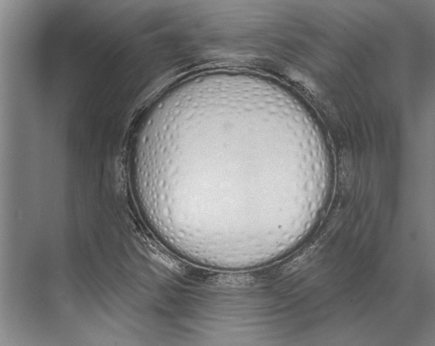 X0000071941354200608041516