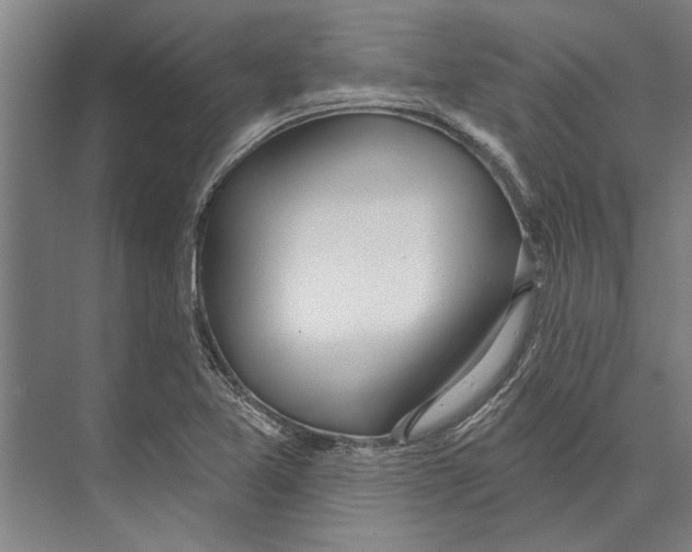 X0000071941365200608041516
