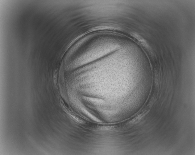 X0000071941369200608041516