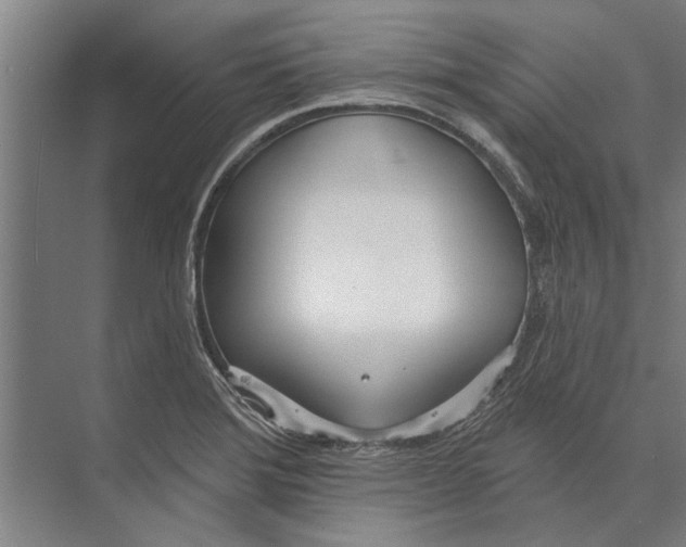 X0000071941372200608041516