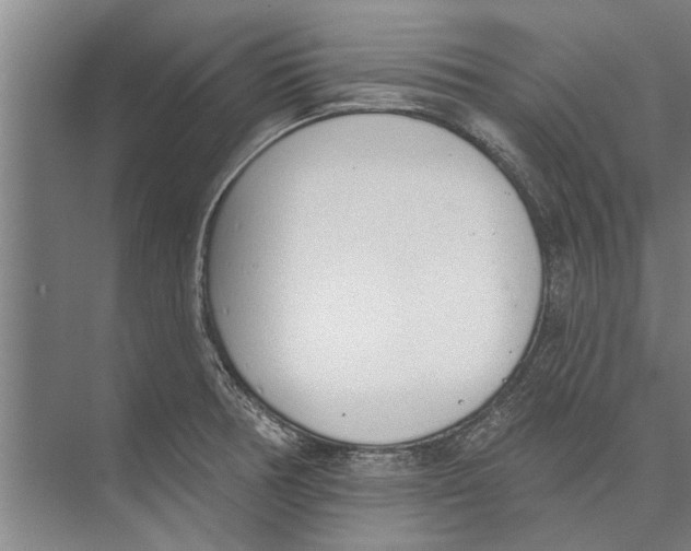 X0000071941378200608041516