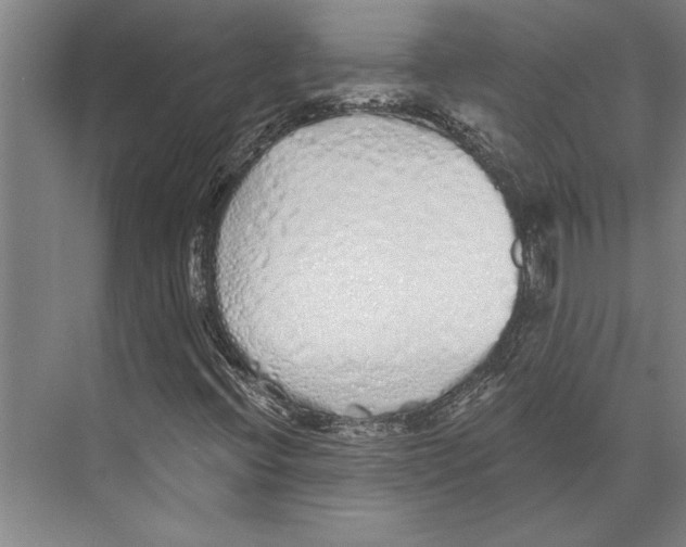 X0000071941396200608041515