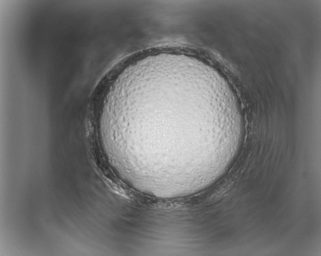 X0000071941400200608041515